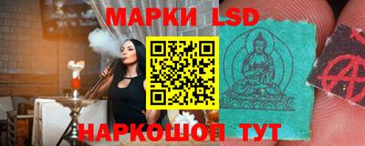 таблы Новокубанск