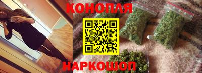 прущие крисы Новозыбков