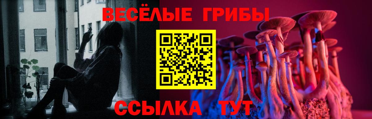 цены   Вход с VPN  Рославль  Псилоцибиновые грибы мухоморы 