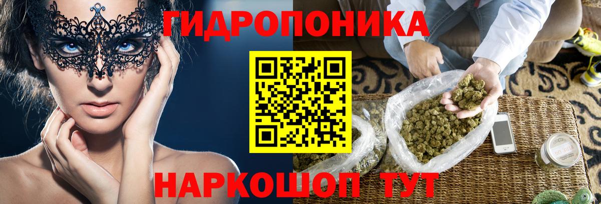 Бошки Шишки Amnesia Рославль